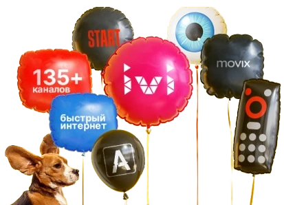 Услуги Дом.ру в село Выгоничи